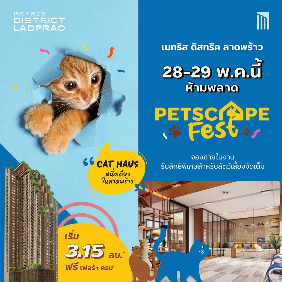 P_220511-MTR-DLP-Event-Petscape-Fest-Pet-Cat-1080x1080_900
